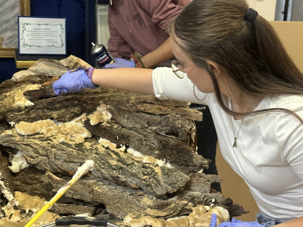 El Belén de la Cofradía de la Paz: una obra de arte