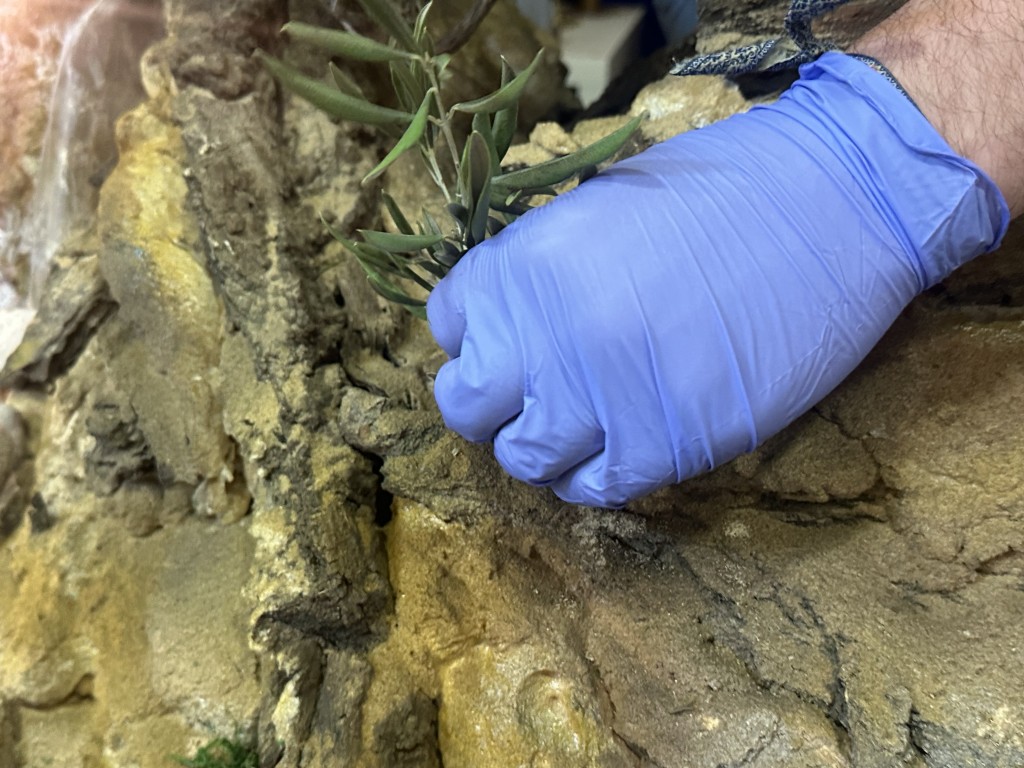 El Belén de la Cofradía de la Paz: una obra de arte