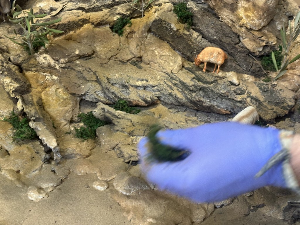 El Belén de la Cofradía de la Paz: una obra de arte