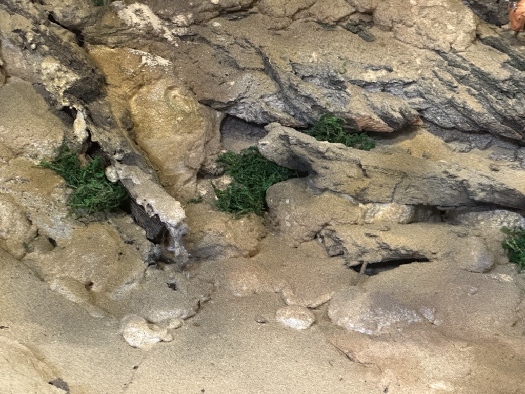 El Belén de la Cofradía de la Paz: una obra de arte