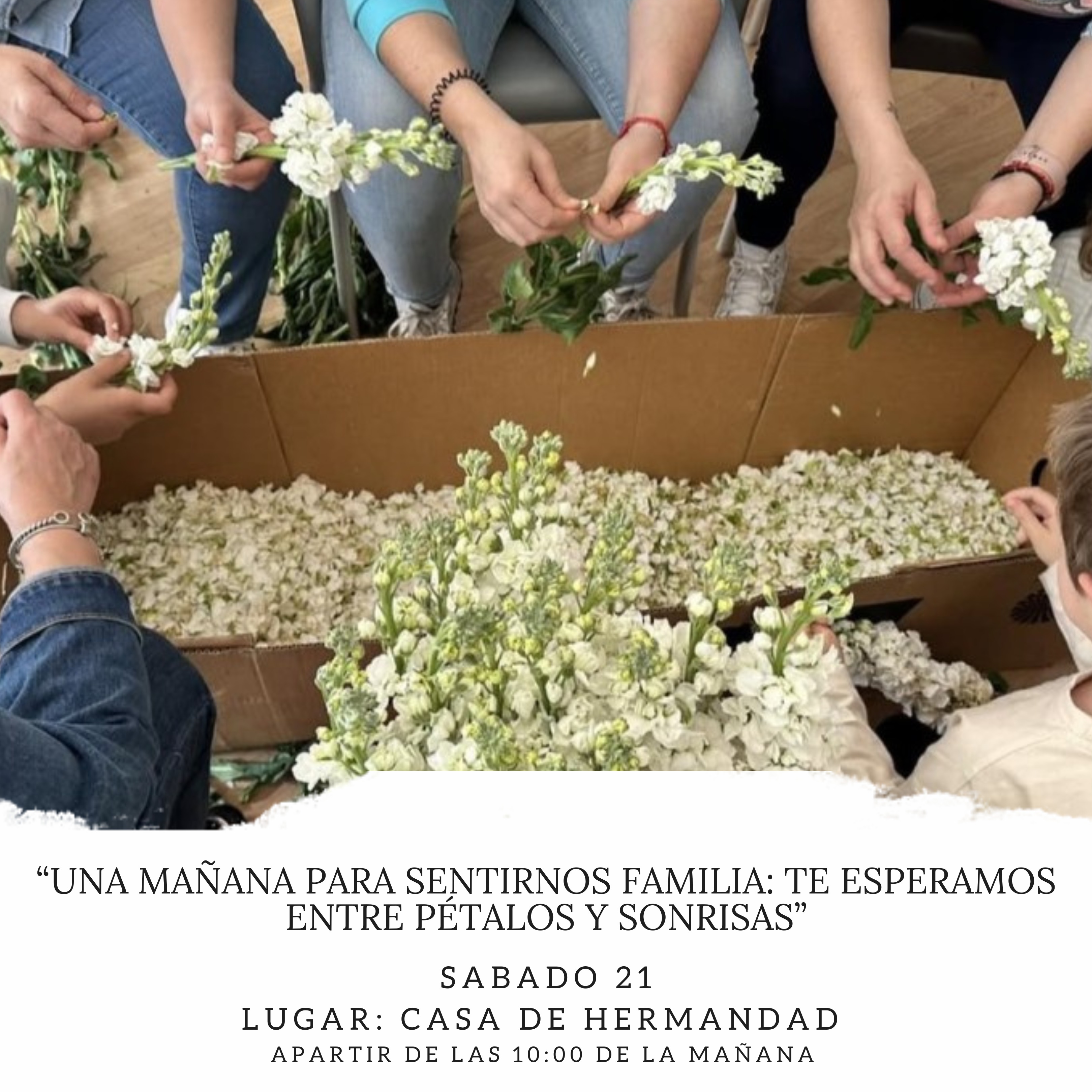 “Transformemos juntos 3.000 claveles en devoción”